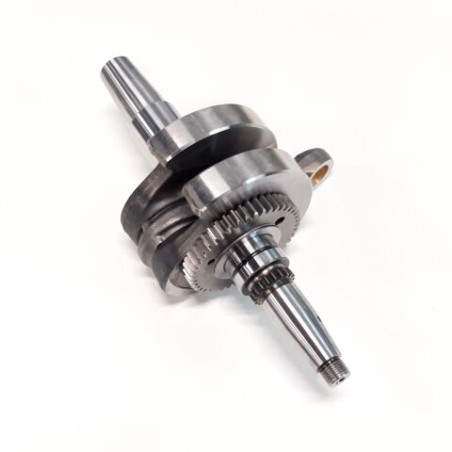 Segway-E01B10000001-CRANKSHAFT