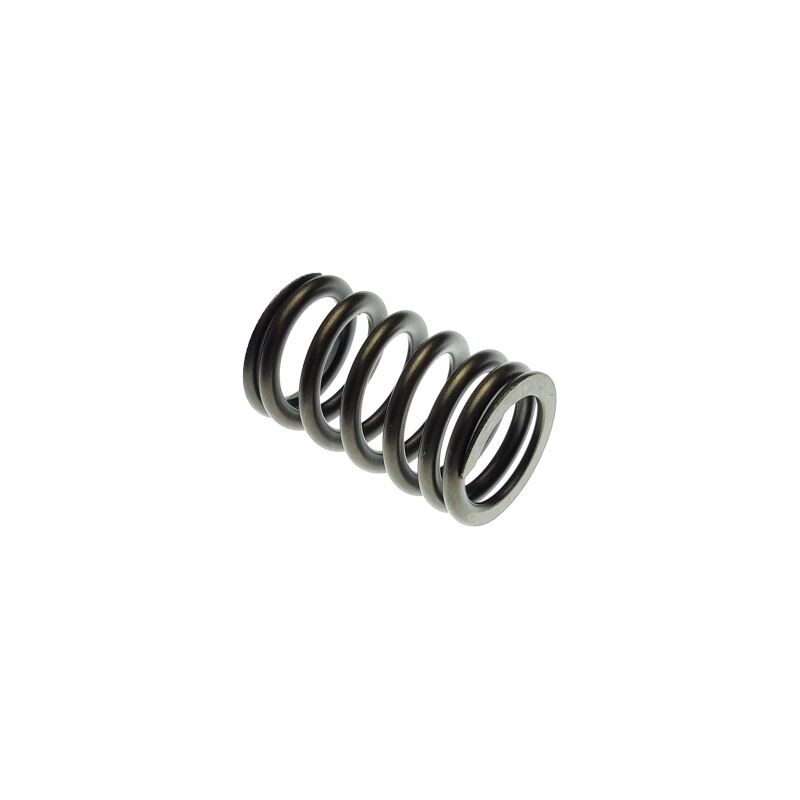 Segway VALVE SPRING - Partnr: F01A20001001 Segway VALVE SPRING - Partnr: F01A20001001