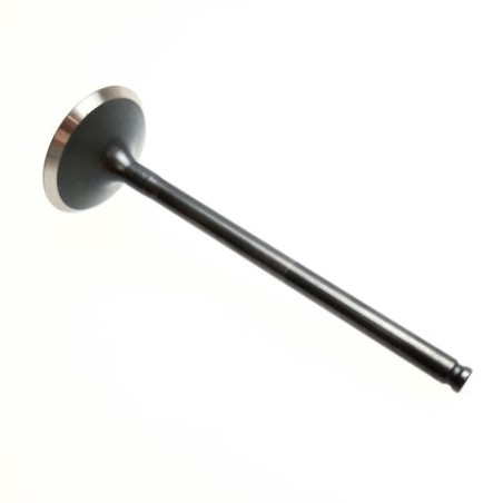 Segway EXHAUST VALVE - Partnr: F01A20003001