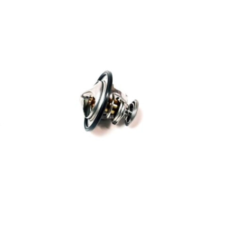 THERMOSTAT ASSEMBLY(74-87)