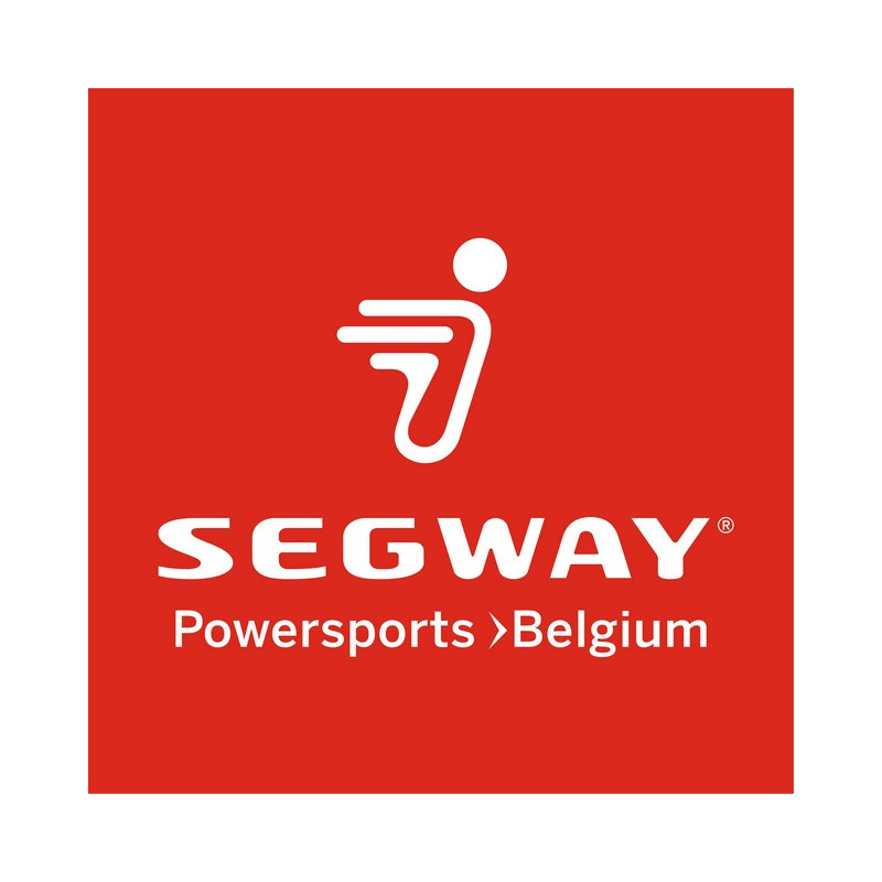 Segway SHIFT RAIL L ASSEMBLY - Partnr: F01F10200001 Segway SHIFT RAIL L ASSEMBLY - Partnr: F01F10200001