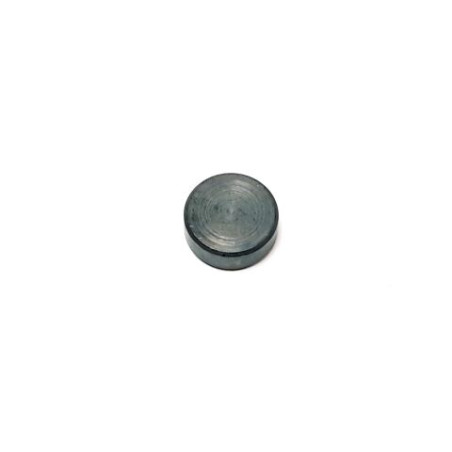 Segway COUNTERWEIGHT (17G) - Partnr: F01-E103001-000-00
