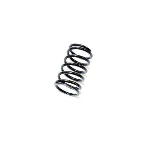 Segway SPRING - Partnr: F01-E102009-000-00