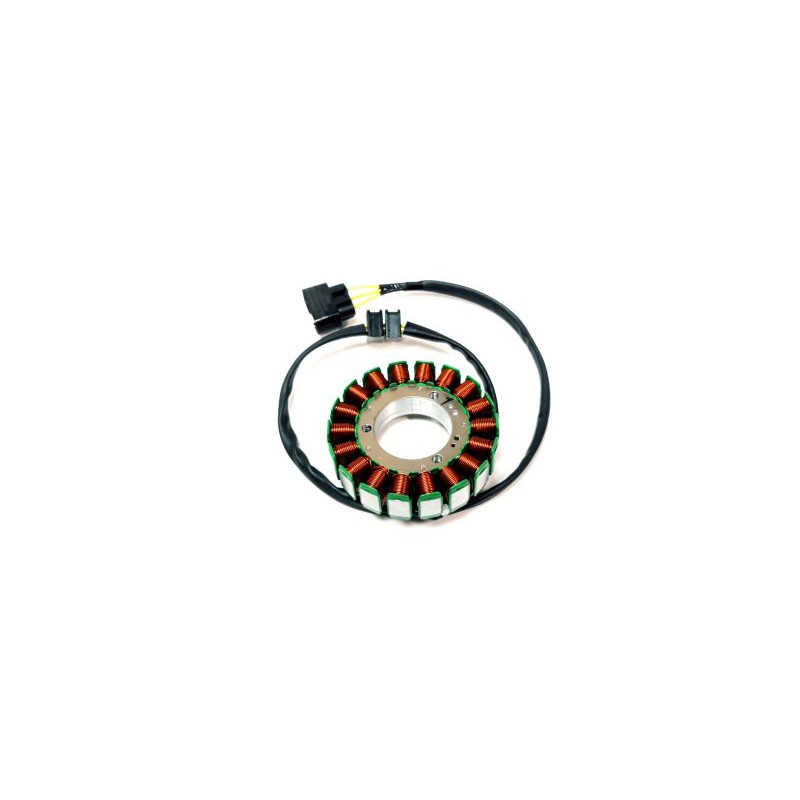 Segway MAGNETO STATOR - Partnr: E01-C212100-000-00 Segway MAGNETO STATOR - Partnr: E01-C212100-000-00
