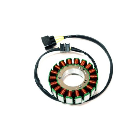 Segway MAGNETO STATOR - Partnr: E01-C212100-000-00