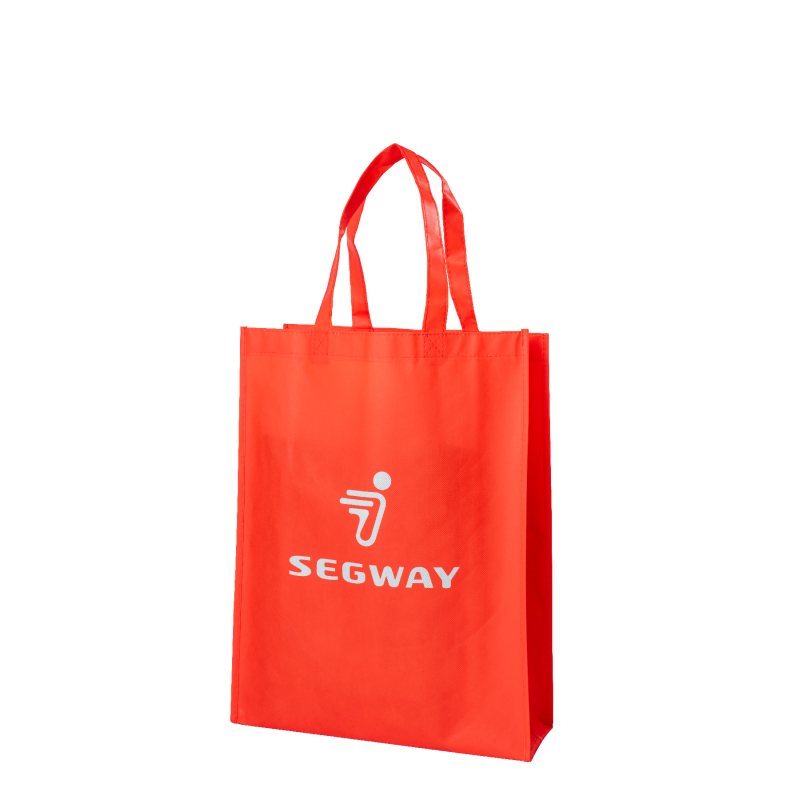 Segway Non-woven Bag - Partnr: AM1R33001001 Segway Non-woven Bag - Partnr: AM1R33001001