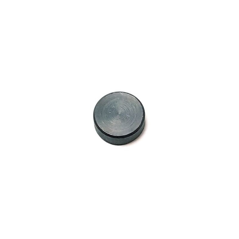 Segway OEM standard Villain Counterweight (47.7G) for CVTech CVT- Partnr: E02-E103002-000-00 Segway OEM standard Villain Counterweight (47.7G) for CVTech CVT- Partnr: E02-E103002-000-00