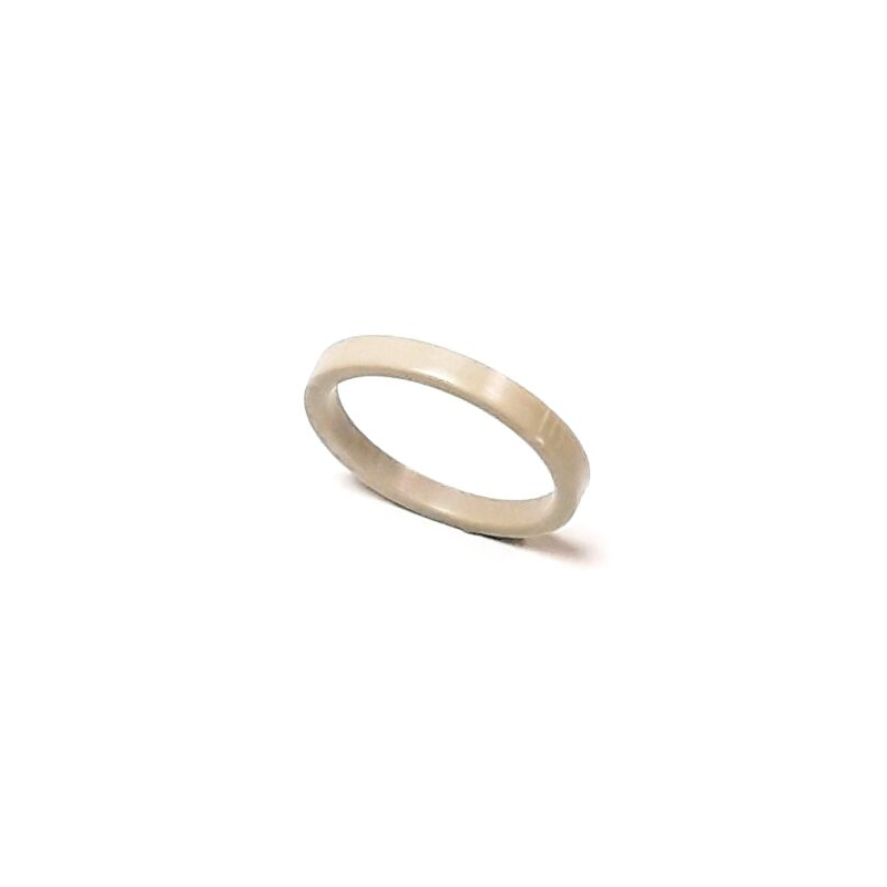 Segway SPEED LIMITING WASHER - Partnr: F01-E102008-000-00 Segway SPEED LIMITING WASHER - Partnr: F01-E102008-000-00