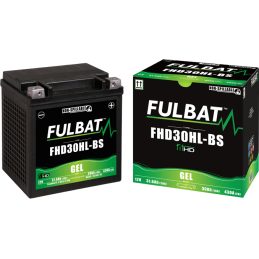 Segway battery  FHD30HL-BS GEL 12Volt  Capacity:32Ah/31,6Ah  CCA:430Amp  L:165 W:130 H:175   P/N:550882  Polarity: - / +